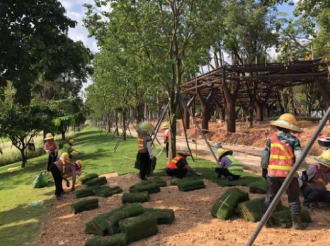 牡丹江园林绿化工程资料代做